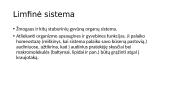 Limfos sistema  2 puslapis