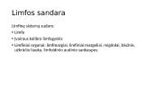 Limfos sistema  3 puslapis