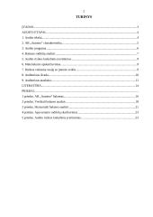 Ilgalaikio materialiojo turto auditas: AB "Autoera" 2 puslapis