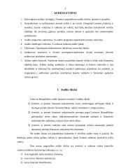 Ilgalaikio materialiojo turto auditas: AB "Autoera" 4 puslapis