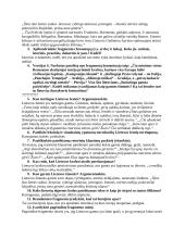 Tėvynės laisvės tema 13 puslapis