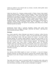 Orumo tema lietuvių literatūroje 2 puslapis