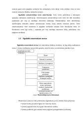 Ilgalaikio turto struktūra: AB "Linas Agro" 6 puslapis