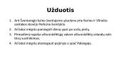 Vientisinis sakinys 11 puslapis