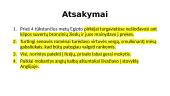 Vientisinis sakinys 16 puslapis