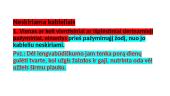 Vientisinis sakinys 18 puslapis