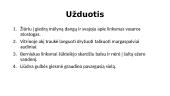 Vientisinis sakinys 19 puslapis