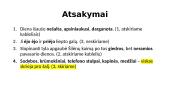Vientisinis sakinys 6 puslapis