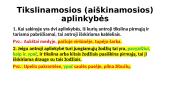 Vientisinis sakinys 10 puslapis