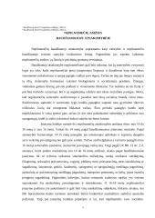 Nepilnamečių baudžiamosios atsakomybės ypatumai 5 puslapis