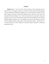 Ilgalaikio turto vertinimas, nusidėvėjimo sumos apskaičiavimas 2 puslapis