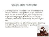 Vaikų vergovė šokolado pramonėje 2 puslapis