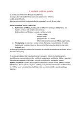 Informatikos egzamino teorijos kartojimas 2 puslapis