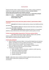 Informatikos egzamino teorijos kartojimas 4 puslapis