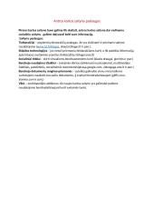 Informatikos egzamino teorijos kartojimas 6 puslapis