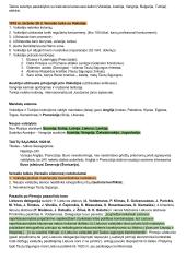 Pirmas pasaulinis karas. Teorija 3 puslapis