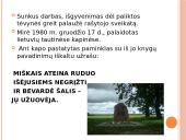 Marius Katiliškis. Kūryba ir jos bruožai 8 puslapis