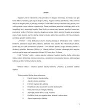 Įmonės aprašymas: nekilnojamo turto valdymas ir statybos paslaugos UAB "Vėtrūna" 3 puslapis
