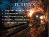 Akmens anglis ir ekologija 2 puslapis