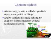 Akmens anglis ir ekologija 11 puslapis