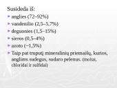 Akmens anglis ir ekologija 12 puslapis