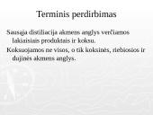 Akmens anglis ir ekologija 16 puslapis