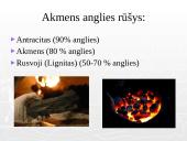 Akmens anglis ir ekologija 20 puslapis