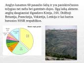 Akmens anglis ir ekologija 5 puslapis