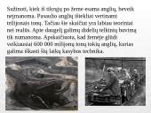 Akmens anglis ir ekologija 6 puslapis