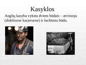 Akmens anglis ir ekologija 7 puslapis