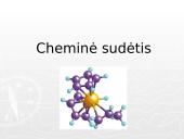 Akmens anglis ir ekologija 10 puslapis