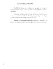 Anafilaksinė reakcija - patogenezė, simptomai, pirmoji pagalba 2 puslapis