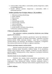 Mokomųjų dalykų integravimas ugdymo procese 2 puslapis