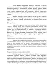 Mokomųjų dalykų integravimas ugdymo procese 3 puslapis