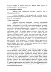 Mokomųjų dalykų integravimas ugdymo procese 4 puslapis