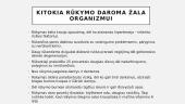 Rūkymas ir jo žala žmogaus organizmui  6 puslapis