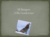 M. Burgess "Vilko kauksmas"