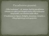 M. Burgess "Vilko kauksmas" 10 puslapis
