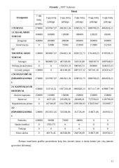 Įmonės ekonomika: katilų gamyba 11 puslapis