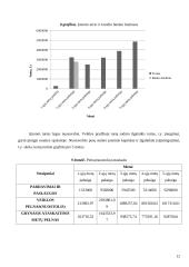 Įmonės ekonomika: katilų gamyba 12 puslapis