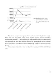 Įmonės ekonomika: katilų gamyba 13 puslapis