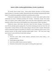 Įmonės ekonomika: katilų gamyba 14 puslapis