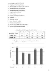 Įmonės ekonomika: katilų gamyba 5 puslapis