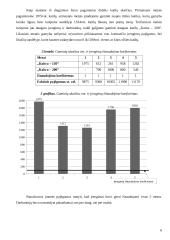 Įmonės ekonomika: katilų gamyba 6 puslapis