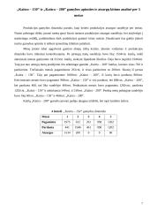 Įmonės ekonomika: katilų gamyba 7 puslapis