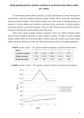Įmonės ekonomika: katilų gamyba 9 puslapis