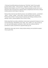 Radvila Rudasis - Tėvynės gynėjas