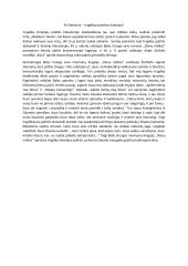 Ar literatūra - tragiškos patirties liudytoja?