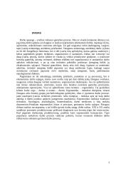 Ergonominis darbo sąlygų vertinimas ir priemonių jų gerinimui parinkimas 3 puslapis