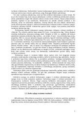 Ergonominis darbo sąlygų vertinimas ir priemonių jų gerinimui parinkimas 5 puslapis